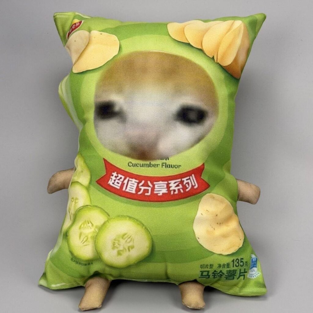 How You Can Connect With HyuniStore 2 crying cat plush, meme potato chip pillow, funny cat cushion, kawaii snack plushie, room decor aesthetic, 25cm stuffed toy, sad cat meme apparel, cucumber chip cat, Gen Z aesthetic gifts, funny internet meme pillow