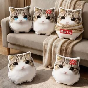 3D anime meme cat plush pillow in 30 cm showing funny crying and angry cat face expressions on a sofa